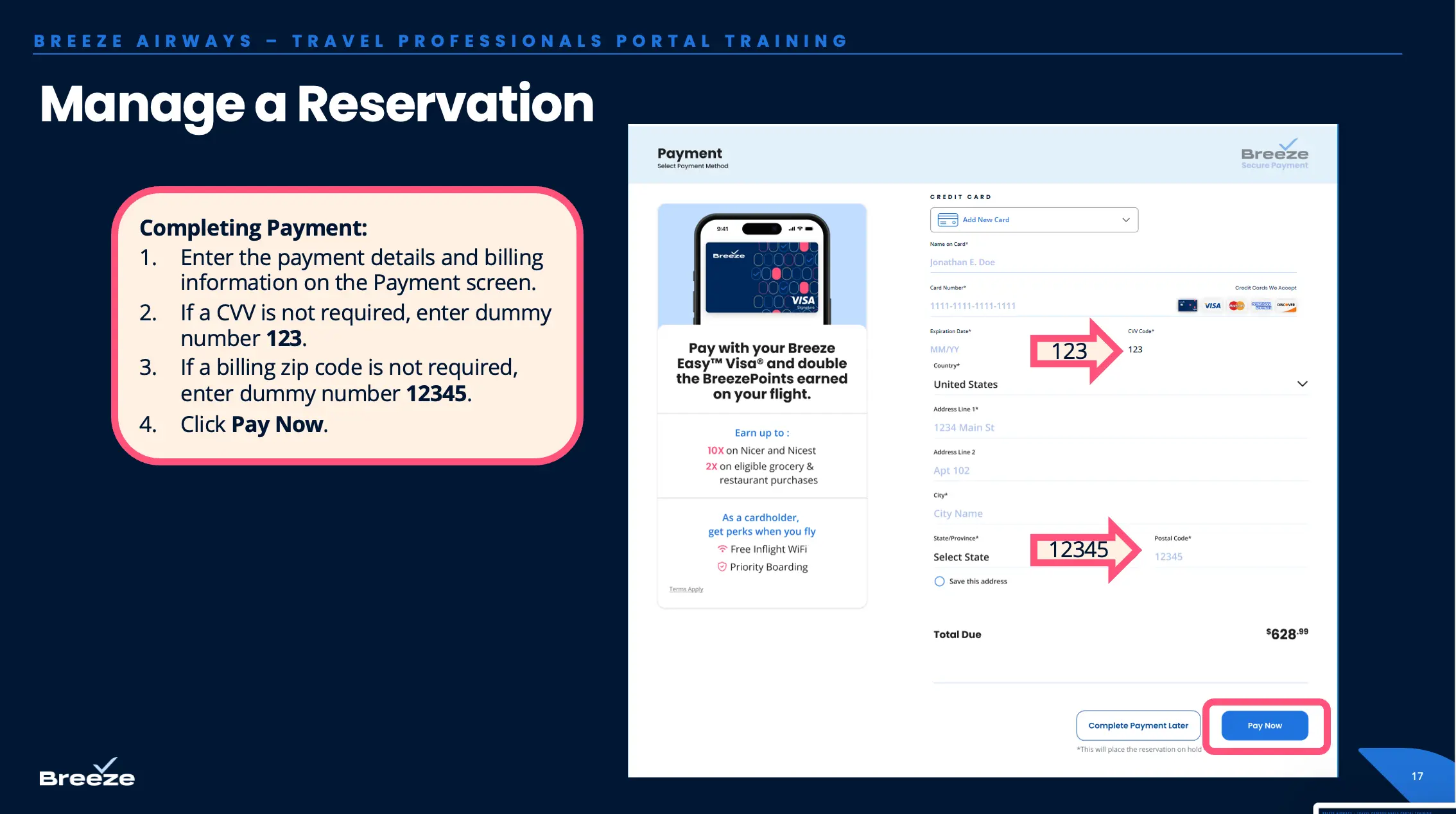Input payment details and click Pay Now